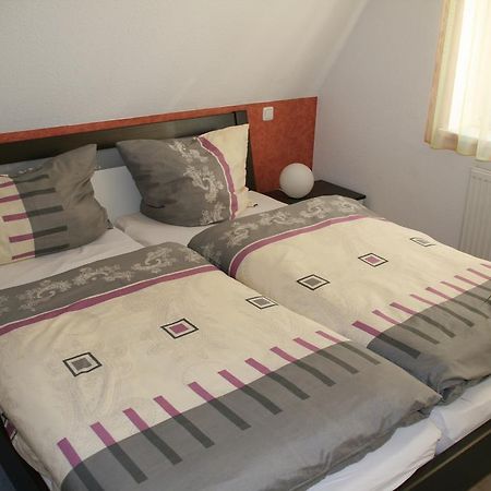드레스덴 Ferienhaus Klein 빌라 외부 사진